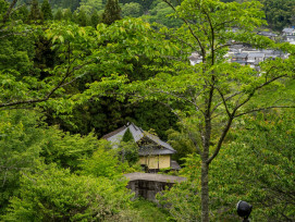 A smaller shrine complex halfway up Mount Inari with city views visible through the trees. Photo by Kouji Tsuru on Unsplash A smaller shrine complex halfway up Mount Inari with city views visible through the trees. Photo by Kouji Tsuru on Unsplash