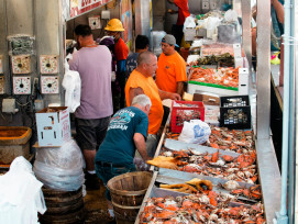 The covered Nishiki Market with vendors preparing fresh seafood and traditional foods Photo by Gabriel Tovar on Unsplash The covered Nishiki Market with vendors preparing fresh seafood and traditional foods Photo by Gabriel Tovar on Unsplash