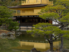 Golden Pavilion in late afternoon Photo by Young Kane on Unsplash Golden Pavilion in late afternoon Photo by Young Kane on Unsplash