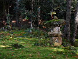 Moss garden with traditional stone lantern Photo by Akiyo Ikeda on Unsplash Moss garden with traditional stone lantern Photo by Akiyo Ikeda on Unsplash