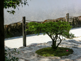 Shadows moving across raked gravel garden Photo by Jonathan Phelps on Unsplash Shadows moving across raked gravel garden Photo by Jonathan Phelps on Unsplash