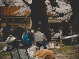 Picnickers under sakura Photo by enkuu smile\_ on Unsplash Picnickers under sakura Photo by enkuu smile\_ on Unsplash