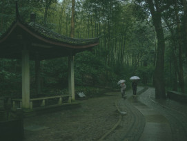 Rain-soaked stone path leading to Silver Pavilion through bamboo grove. Photo by Seele An on Unsplash Rain-soaked stone path leading to Silver Pavilion through bamboo grove. Photo by Seele An on Unsplash