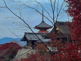 Mountain temple nestled among autumn forests with valley view. Photo by Nelemson Guevarra on Unsplash Mountain temple nestled among autumn forests with valley view. Photo by Nelemson Guevarra on Unsplash