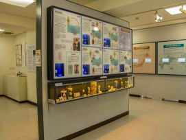 The Meguro Parasitological Museum The Meguro Parasitological Museum