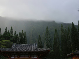 Morning mist rising from traditional wooden buildings in Kyoto Photo by Mir Ali on Unsplash Morning mist rising from traditional wooden buildings in Kyoto Photo by Mir Ali on Unsplash