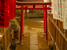 Early morning view of Fushimi Inari's torii gates with few visitors Photo by Jason Leung on Unsplash Early morning view of Fushimi Inari's torii gates with few visitors Photo by Jason Leung on Unsplash