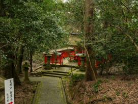 A small shrine hidden among trees along the Philosopher's Path Photo by Kouji Tsuru on Unsplash A small shrine hidden among trees along the Philosopher's Path Photo by Kouji Tsuru on Unsplash