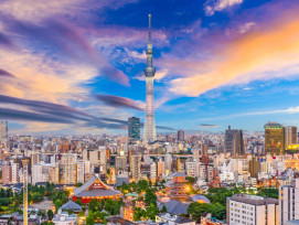 Tokyo skyline. Tokyo skyline.