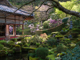 Formal garden with blooming cherry trees Formal garden with blooming cherry trees