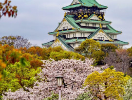 Japan spring scenery. Japan spring scenery.