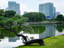 Hamarikyu Park Hamarikyu Park