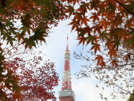 Autumn in Tokyo. Image by raquel bolas on Unsplash. Autumn in Tokyo. Image by raquel bolas on Unsplash.