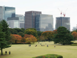 Fall Tokyo. Image by Jasmin Nabong on Unsplash.