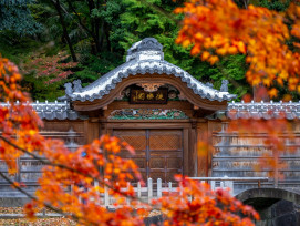Tokyo autumn colors. Image by Lucius Hunter on Unsplash.