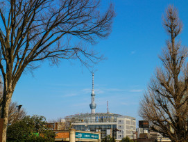 Ueno Park. Image by erwin hilman on Unsplash. Ueno Park. Image by erwin hilman on Unsplash.