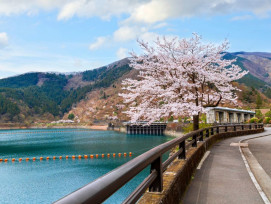 Lake Okutama