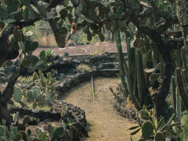 The Best  Parks In Mexico City 