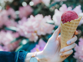 The 10 Best Gelaterias In Bologna