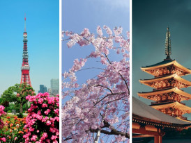 3 days in Tokyo: from famous hotspots to local secrets 