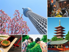 Maximizing your Tokyo experience: A guide to hiring a T