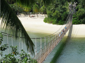 City Unscripted article image