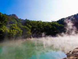 City Unscripted article image