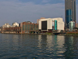 City Unscripted article image