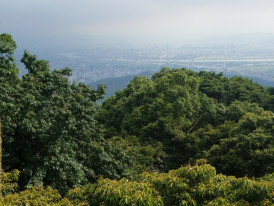 City Unscripted article image