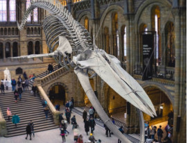 City Unscripted article image