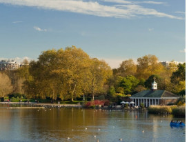 City Unscripted article image