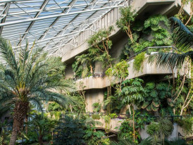 The Barbican Conservatory