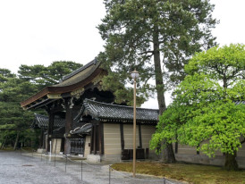 City Unscripted article image