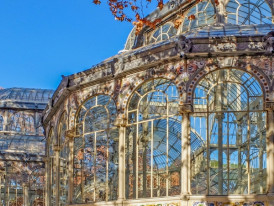 City Unscripted article image