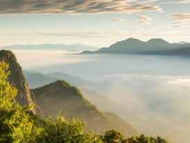 City Unscripted article image