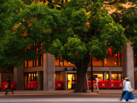 City Unscripted article image