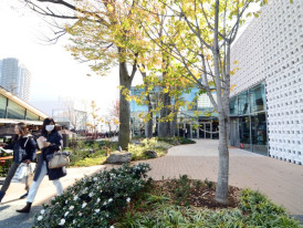 City Unscripted article image