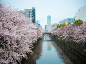 City Unscripted article image