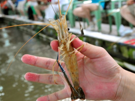 City Unscripted article image