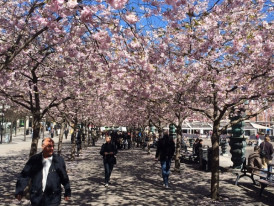 City Unscripted article image