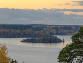 City Unscripted article image