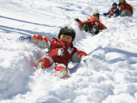 Ski and Snowboard in winter
