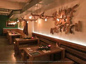  Trumpf Oder Kritisch