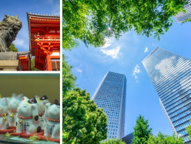 City Unscripted article image