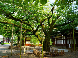 City Unscripted article image