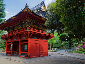 City Unscripted article image