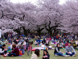 City Unscripted article image