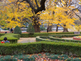 City Unscripted article image