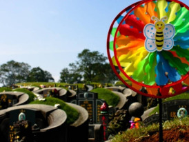 Customs and tradition