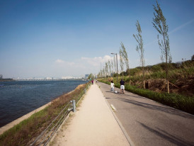 What to do in Gangnam in one day